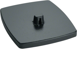Hager DAFF220009011 Baseplate RS Double, Graphite Black