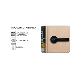 VidiLine VIDI-AC-KL1-B Bluetooth Smart Door Lock with Fingerprint, PIN, and Tuya App