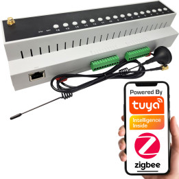 Contrôleur de relais ZigBee 16 canaux | Tuya intelligent