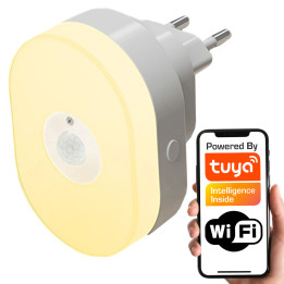 Tuya WiFi PIR capteur de mouvement veilleuse RGBCCT