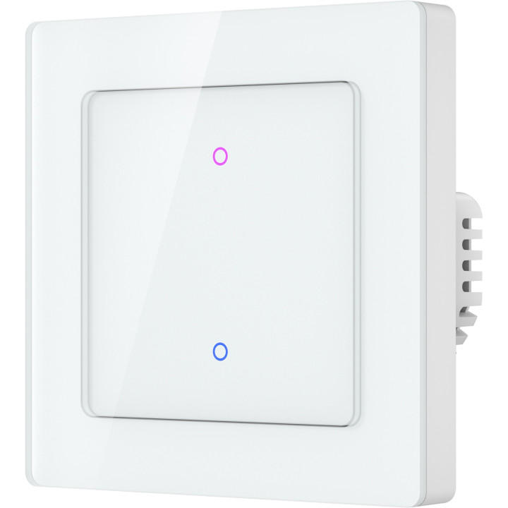 Immax NEO 07539L Smart 2-Button Wall Switch, Wi-Fi, 230V