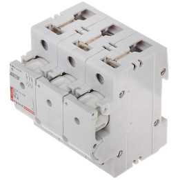 LEGRAND LE-606707 Three-Phase Fuse Switch Disconnector 35A D02