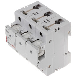 Legrand LE-606702 Three-Phase Fuse Switch Disconnector 6A D01