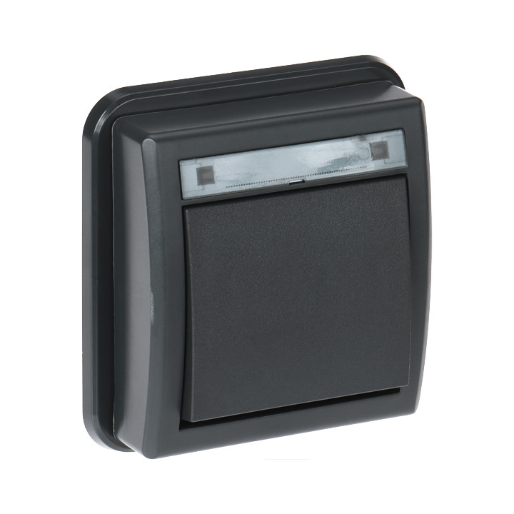 AQUANT-5001-77/EPN Elektro-Plast Mechanical Switch 250 V 10 A IP55