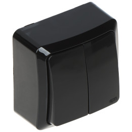 Elektro-Plast BERG/3711-09/EPN Illuminated Switch 250V 10A