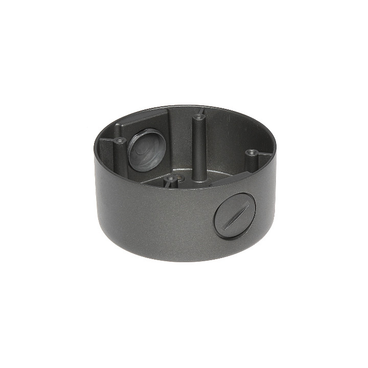 Lubinis Mount for Dome Cameras BD-CV94