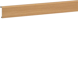 Hager SL200552D5 Goulotte de Câbles, 55x20mm, 2m, Gris