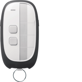 Hager TG402 2-Channel Remote Control