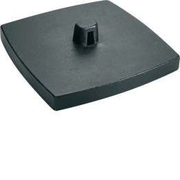 Hager DAFF20009011 Plaque de base RS, noir graphite
