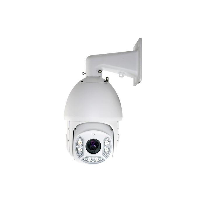 DAHUA IPX-SD250-30SI 2MP 30x Optical Zoom IP66 Speed Dome PTZ Camera with PoE