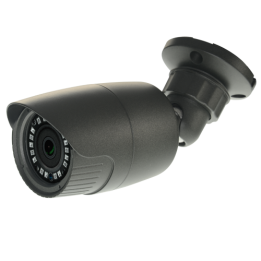 NV-19 NIVIAN RETAIL 2MP Caméra PTZ IP66 IR 20m