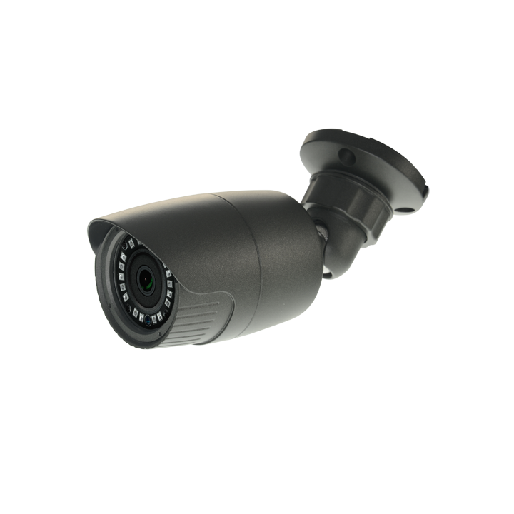 NV-19 NIVIAN RETAIL 2MP Caméra PTZ IP66 IR 20m