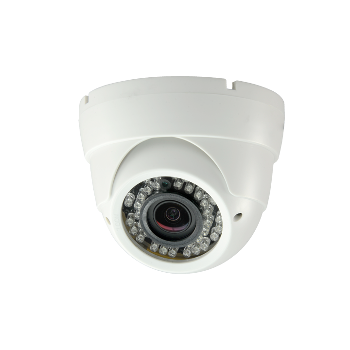 MARCA BLANCA DM955KIB-2HAC Caméra dôme IP/PoE 30m