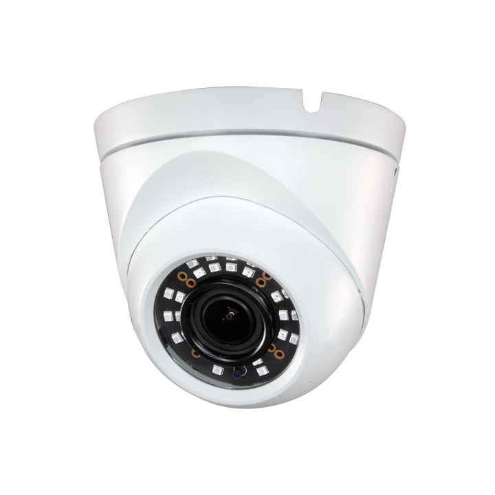 DM952ZFIB-F4N1 MARCA BLANCA 2MP IP66 Dome IP Camera with PoE