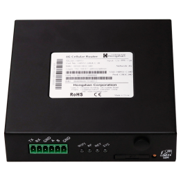 HONGDIAN HG-H8951-L4EA-S-WG Wireless N Router 100Mbps Indoor