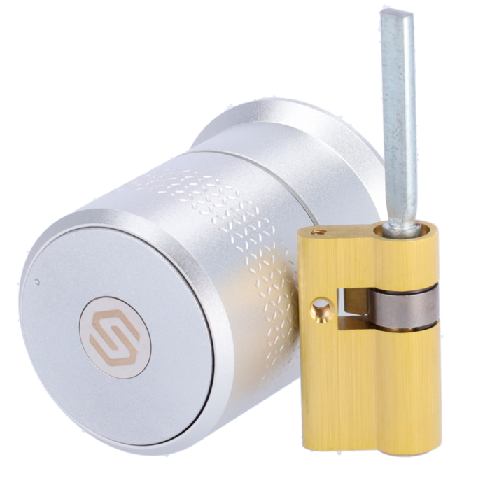 Serrure électromagnétique Bluetooth SAFIRE SF-SMARTLOCK-BT-PRO – Serrure de porte intelligente avec contrôle par application