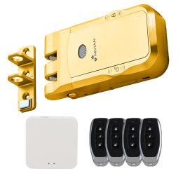 NVS-SMARTBOLT-GOLDEN NIVIAN RETAIL Electromagnetic Lock