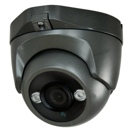 MARCA BLANCA DM821I-F4N1 2MP PTZ IP Camera with IR 30m, IP66
