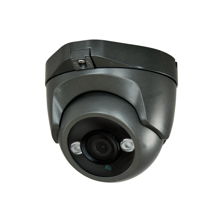 MARCA BLANCA DM821I-F4N1 2MP PTZ IP Camera with IR 30m, IP66