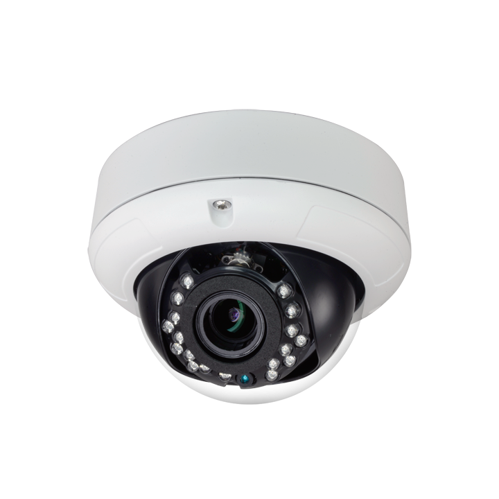MARCA BLANCA D935ZSW-2P4N1 Caméra IP dôme IP66 2MP avec objectif à focale variable 2,7-13,5 mm, 40 m IR, True WDR 120 dB, PoE