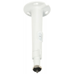 Hikvision DS-1299ZJ Pendant Mount