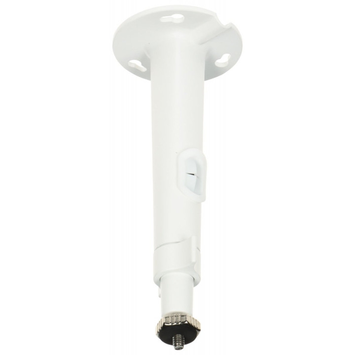 Hikvision DS-1299ZJ Pendant Mount