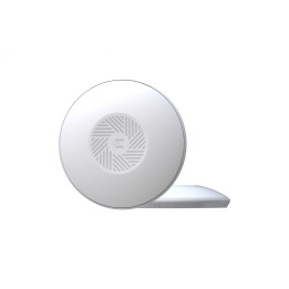 Teltonika TAP100 Access Point 2x1 Wi-Fi 4 300Mbit Ethernet PoE White
