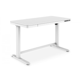 DIGITUS DA-90406 Electric Height-Adjustable Desk 120x60x12cm White with USB Charging Ports
