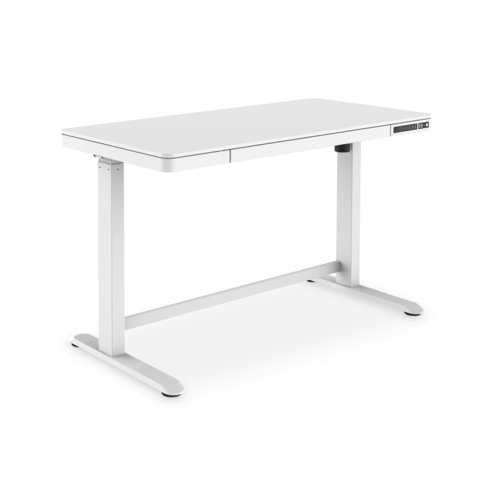 DIGITUS DA-90406 Electric Height-Adjustable Desk 120x60x12cm White with USB Charging Ports