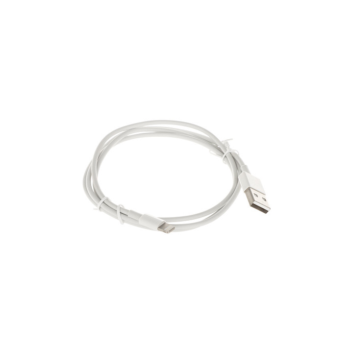 Cable Lightning a USB 1m Blanco - Cable de carga y sincronización para iPhone/iPad