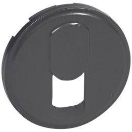 CACHE TÉLÉPHONE RJ45 GRAPHITE