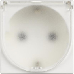 Presa standard tedesco 2P+T 16A 250 Vac con sportello IP20