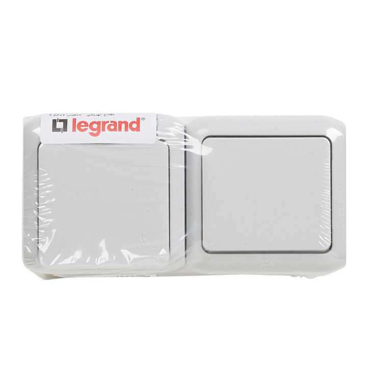 Interrupteur + prise 2P+T standard allemand Forix - 16 A -250 V - gris