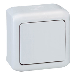 Interrupteur unidirectionnel Forix - montage en saillie - 10 AX - 250 V - gris
