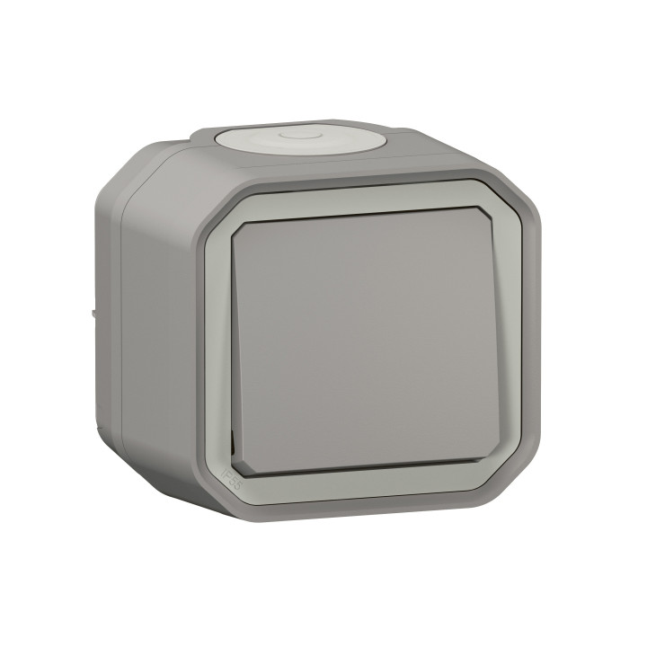 NOUVEAU INTERRUPTEUR 2 VOIES PLEXO 1 GROUPE - GRIS - SURFACE