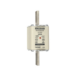 NH fuse-link gG, 500VAC, size 3, 300A double indicator/live tags