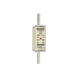 NH fuse-link gG, 500VAC, size 1, 32A double indicator/live tags