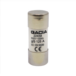 22x58 gG 125A cylindrical fuse link 500VAC