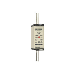 NH fuse-link gG, 500VAC, size 1, 40A double indicator/live tags