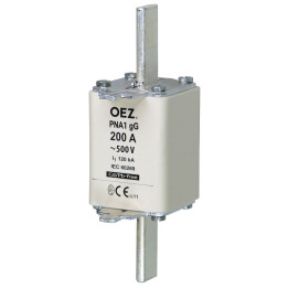 PNA1 100A gG Fuse-link