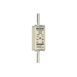 NH fuse-link gG, 500VAC, size 1, 100A double indicator/live tags