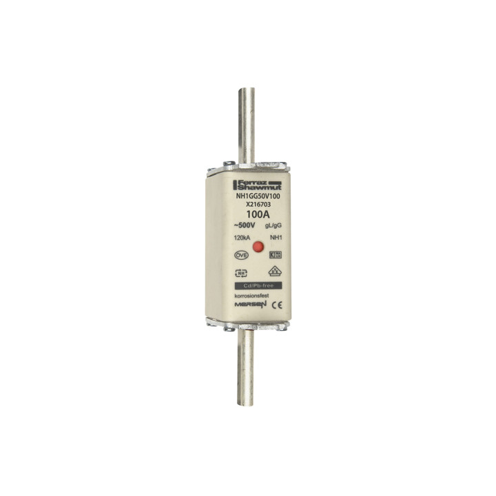 NH fuse-link gG, 500VAC, size 1, 100A double indicator/live tags