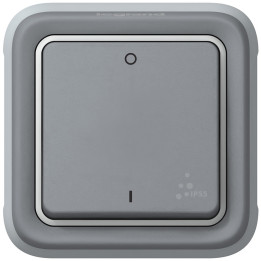 Legrand Plexo двухполюсный выключатель IP55 серый