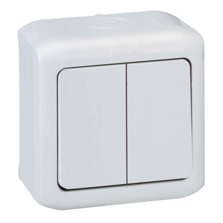 2 gang one-way switch Forix- surface mounting - 10 AX - 250 V - grey