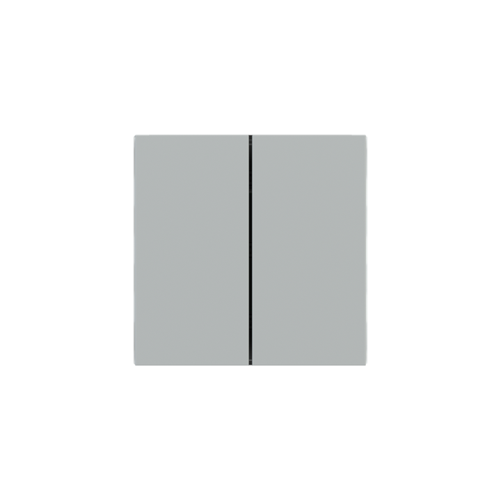 Ekinex накладка Form/Flank/NF 40x80 mm серый Fenix NTM EK-TRV-FGE-