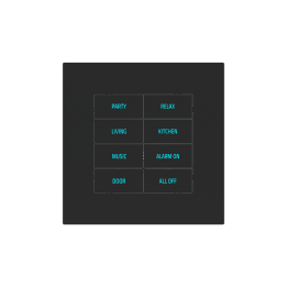 Square Plate Surface (71/20Venti) (98x98) 1 window (60x60) Fenix NTM Black Ingo