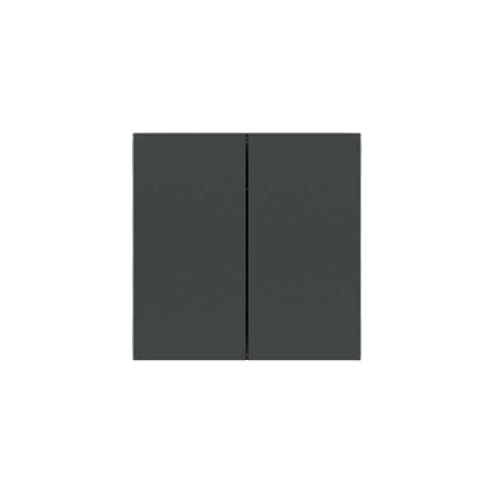 Ekinex накладка Form/Flank/NF 40x80 mm серый Fenix NTM EK-TRV-FGB-