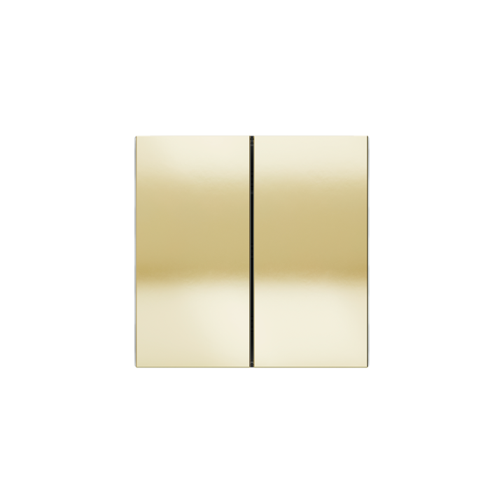 kit 1 rocker FF (Form/Flank/NF) vertical rectangular (40x80) Metal HT Champagne with simbols