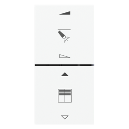 Kit 2 rockers FF square (40x40) for EF2 with symbols White Plastic