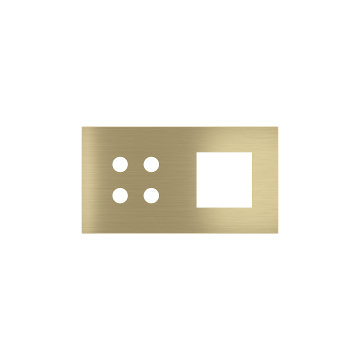 Magnetic plate 2-fold for 4-rocker push button + (45x45 mm window) Proxima series Metal Brass
